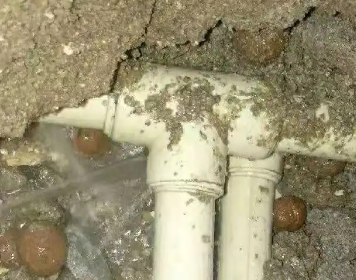 疏勒测漏水多少钱