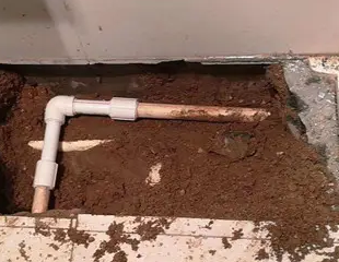 疏勒测漏水哪家好