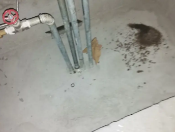 疏勒卫生间测漏水价格明细