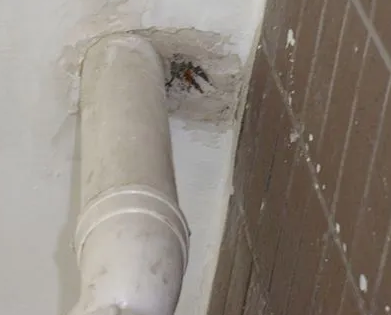 疏勒漏水检测哪家好